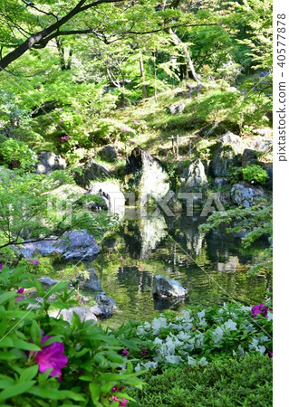 和歌山城堡在春天 40577878