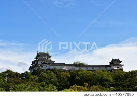 和歌山城堡在春天 40577890