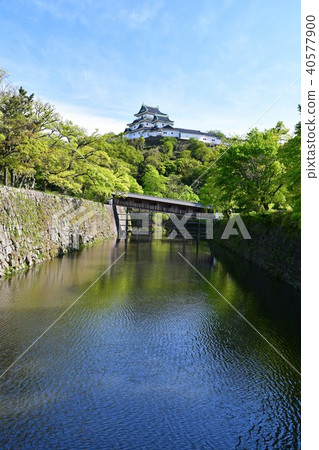 Wakayama castle in spring 40577900
