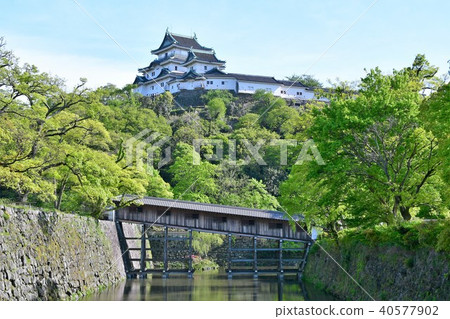 和歌山城堡在春天 和歌山城堡在春天 40577902