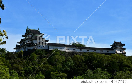 和歌山城堡在春天 40577903
