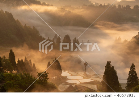 Morning mist of Satoyama 40578933