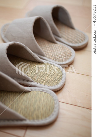 Slipper (entrance dwelling house single-family single-family flooring my home apartment condominium rental) 40579213