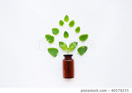 A bottle of melissa lemon balm essential oil. A bottle of melissa lemon balm essential oil. 40579255