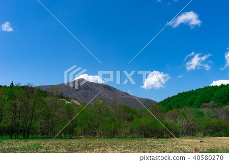 Clear sunny Otani ground 40580270