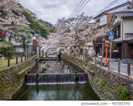 Kinosaki Onsen where the cherry blossoms are in full bloom Kinosaki Onsen where the cherry blossoms are in full bloom 40580350
