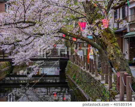 Kinosaki Onsen where the cherry blossoms are in full bloom Kinosaki Onsen where the cherry blossoms are in full bloom 40580354
