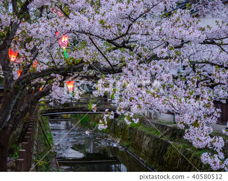 HOT SPRINGS & CHERRY BLOSSOMS - Visit Kinosaki