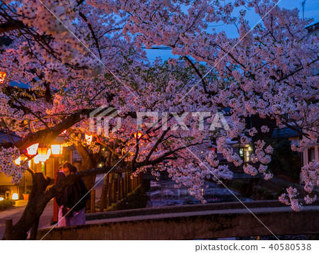 Kinosaki Onsen where the cherry blossoms are in full bloom Kinosaki Onsen where the cherry blossoms are in full bloom 40580538