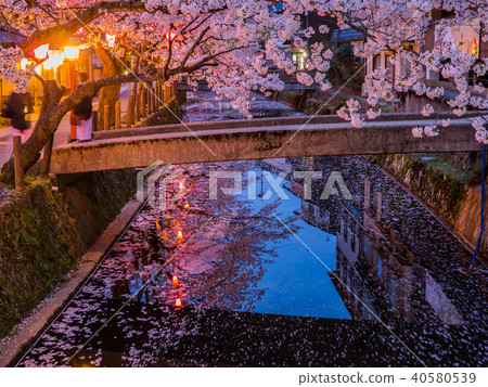 Kinosaki Onsen where the cherry blossoms are in full bloom Kinosaki Onsen where the cherry blossoms are in full bloom 40580539