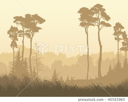 Horizontal illustration of misty forest glade. 40583965