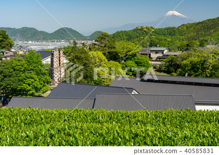 (Shizuoka Prefecture) Over the tea field W W World Heritage Yuzan Reflection Furnace and Mt. Fuji 40585831