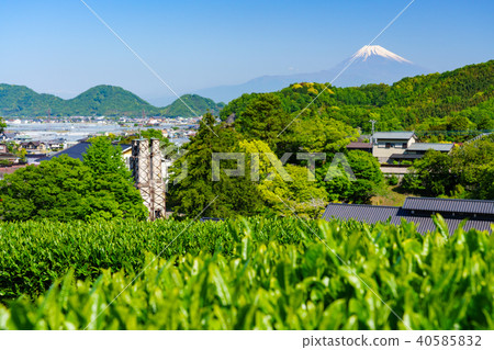(Shizuoka Prefecture) Over the tea field W W World Heritage Yuzan Reflection Furnace and Mt. Fuji 40585832