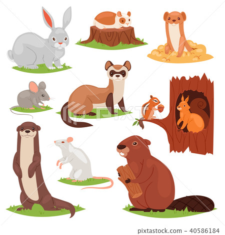 Forest animals vector cartoon animalistic characters squirrel in hollow and wild beaver or bunny 40586184