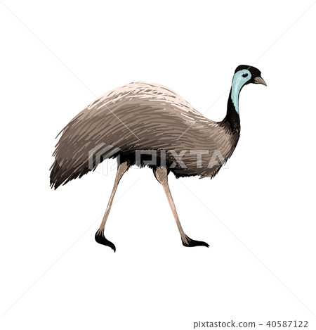 Australian vector animal 40587122