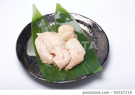 An liver source 40587219