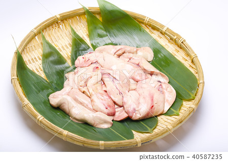 肝臟來源 40587235