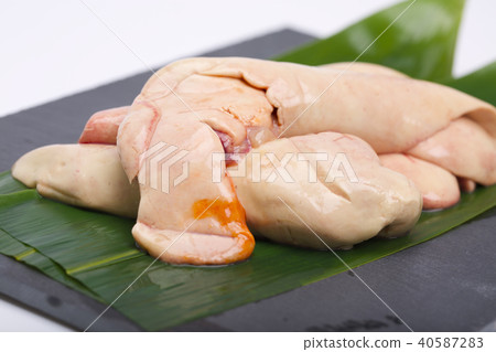 An liver source An liver source 40587283