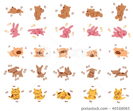 animal animal 40588065