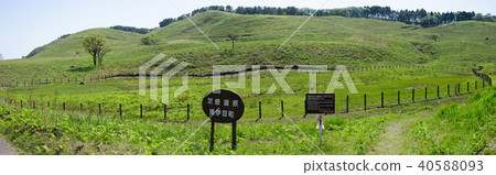靜岡縣賀茂郡Inatori Higashiizu-cho Hoshino Plateau的Shibahara濕地 靜岡縣賀茂郡Inatori Higashiizu-cho Hoshino Plateau的Shibahara濕地 40588093