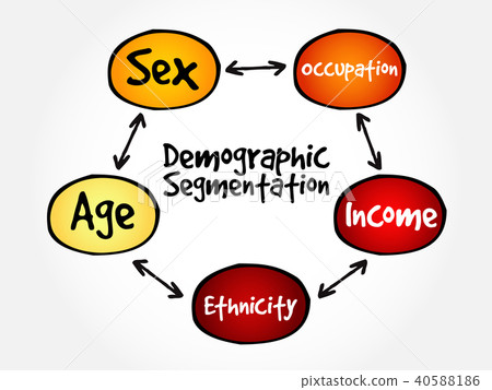 Demographic segmentation mind map 40588186