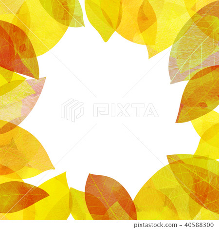 Leaky Leaf Texture Background Material Leaky Leaf Texture Background Material 40588300
