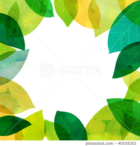 Leaky Leaf Texture Background Material Leaky Leaf Texture Background Material 40588301