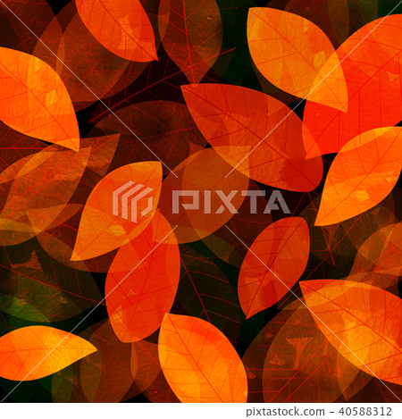 Leaky Leaf Texture Background Material Leaky Leaf Texture Background Material 40588312