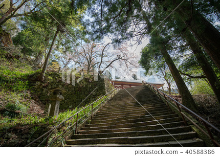山 山 40588386