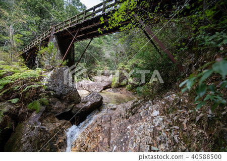 Breaststone 40588500