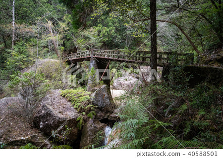 Breaststone 40588501