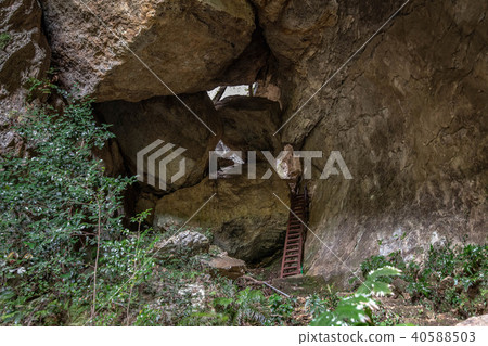 Breaststone 40588503