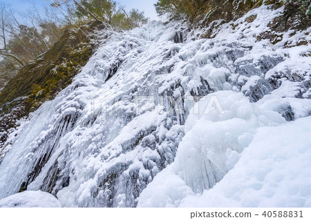 Icefall/Tsubomi no Taki (Kanzaki Town, Hyogo Prefecture) *Photo location in the comment section of the work Icefall/Tsubomi no Taki (Kanzaki Town, Hyogo Prefecture) *Photo location in the comment section of the work 40588831