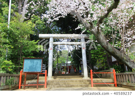 世田谷六甲神社 世田谷六甲神社 40589237