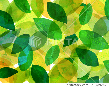 Leaky Leaf Texture Background Material Leaky Leaf Texture Background Material 40589287
