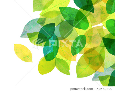 Leaky Leaf Texture Background Material 40589290