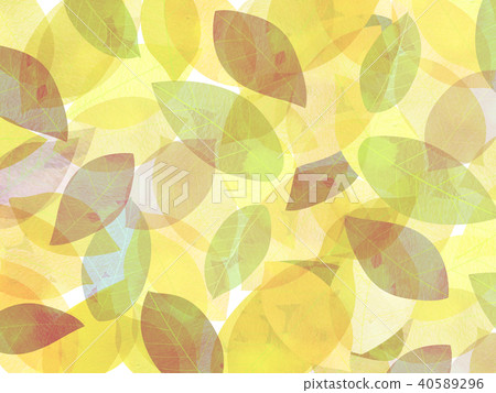 Leaky Leaf Texture Background Material Leaky Leaf Texture Background Material 40589296