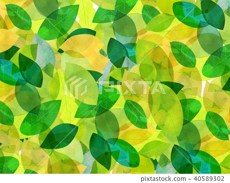 Leaky Leaf Texture Background Material Leaky Leaf Texture Background Material 40589302