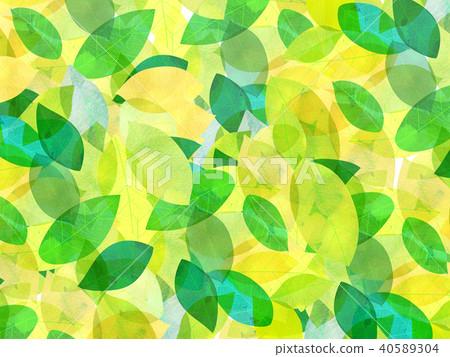 Leaky Leaf Texture Background Material Leaky Leaf Texture Background Material 40589304