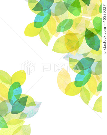 Leaky Leaf Texture Background Material Leaky Leaf Texture Background Material 40589327