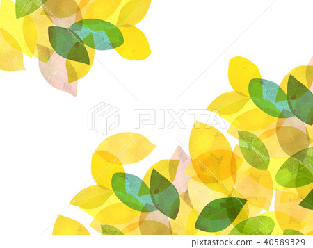Leaky Leaf Texture Background Material Leaky Leaf Texture Background Material 40589329