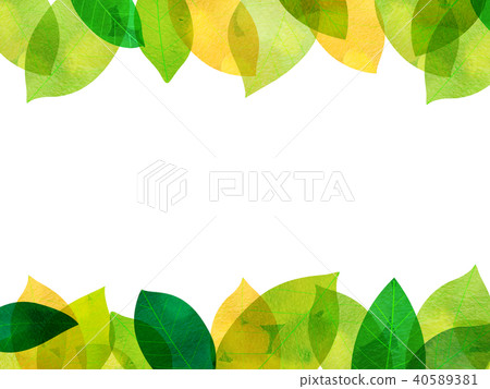 Leaky Leaf Texture Background Material Leaky Leaf Texture Background Material 40589381
