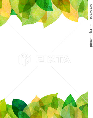 Leaky Leaf Texture Background Material Leaky Leaf Texture Background Material 40589389