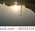 Rice planting 40592528