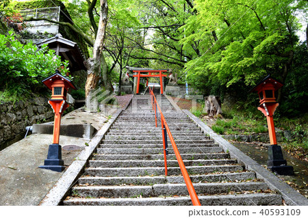 Su訪神社Suwayama稻荷神社(神戶市中央區Suwasan) Su訪神社Suwayama稻荷神社(神戶市中央區Suwasan) 40593109