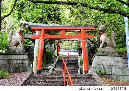 Su访神社suwayama稻荷神社 神户市中央区suwasan 图库照片