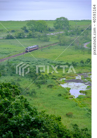 Kushiomiya line 40593164