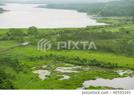 Konet Main Line of the Great Wetland Konet Main Line of the Great Wetland 40593165