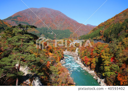 Autumn Agawa，Onotake（會津，Shimogo-cho） 40593402