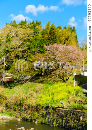 [大分縣竹田市] Nagayu Onsen 40593560